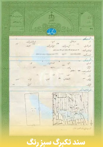 فرق سند تکبرگ زرد و سبز 3 سند سبز